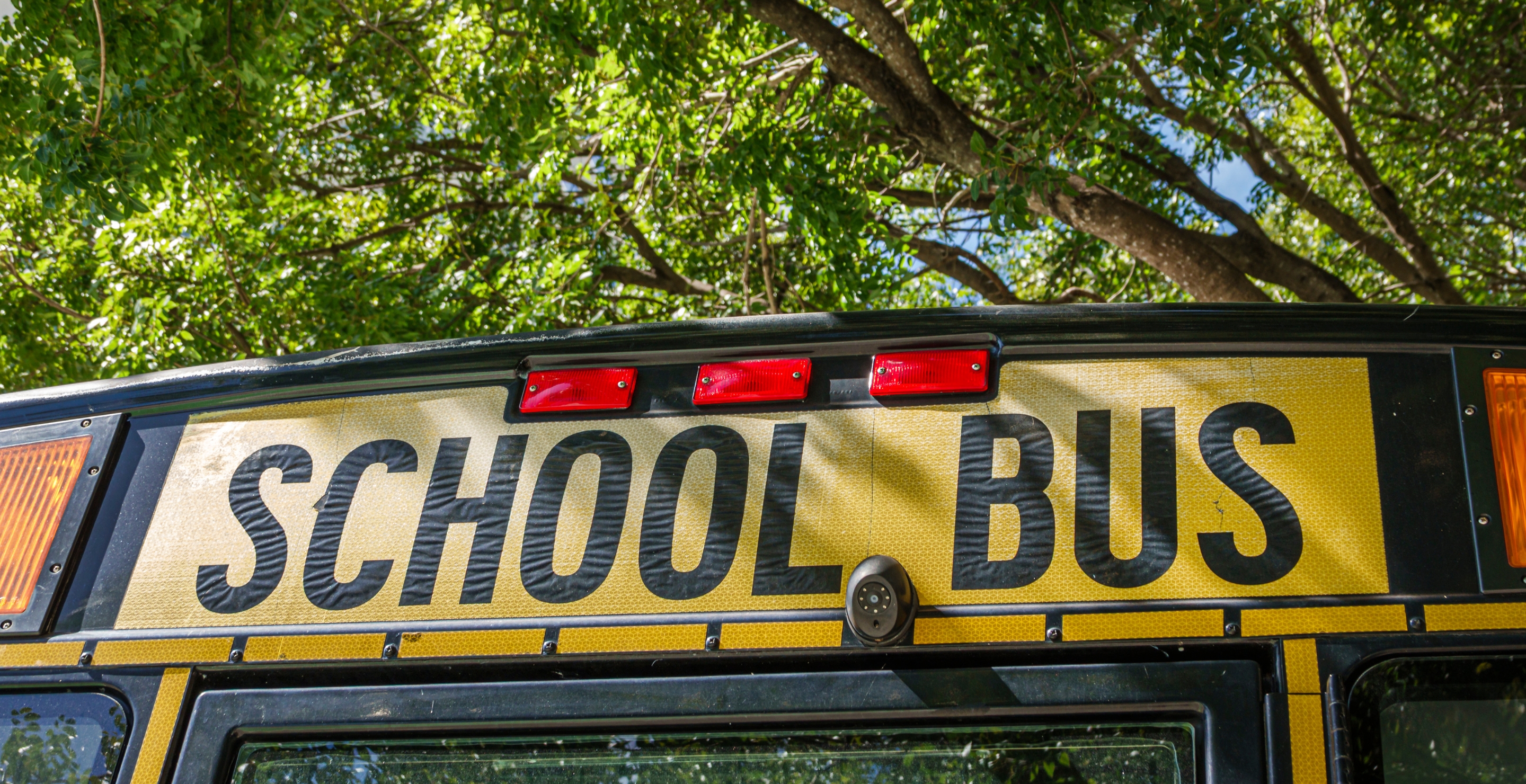 Six Injured After School Bus Is Rear-Ended by Speeding Pickup Truck in New York