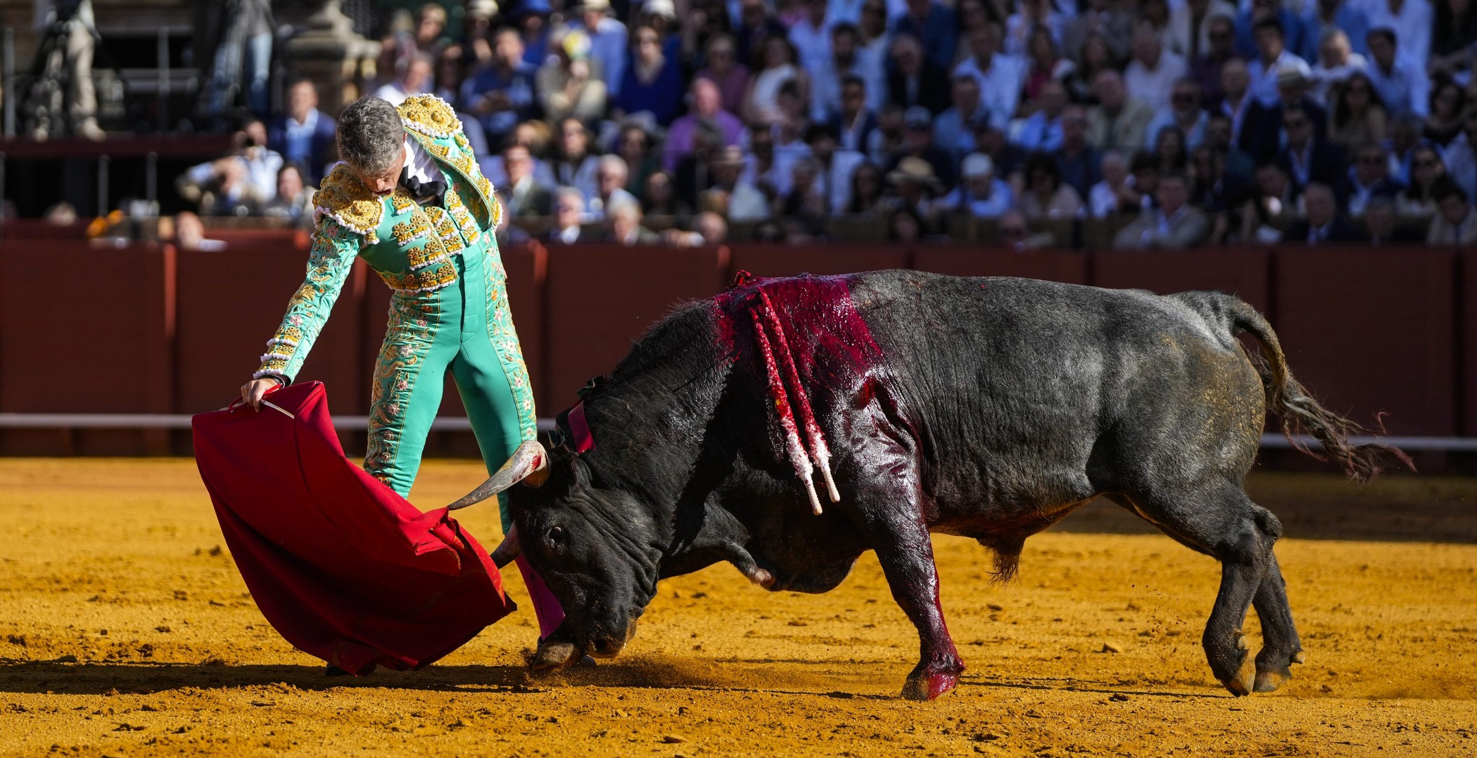 bullfighter