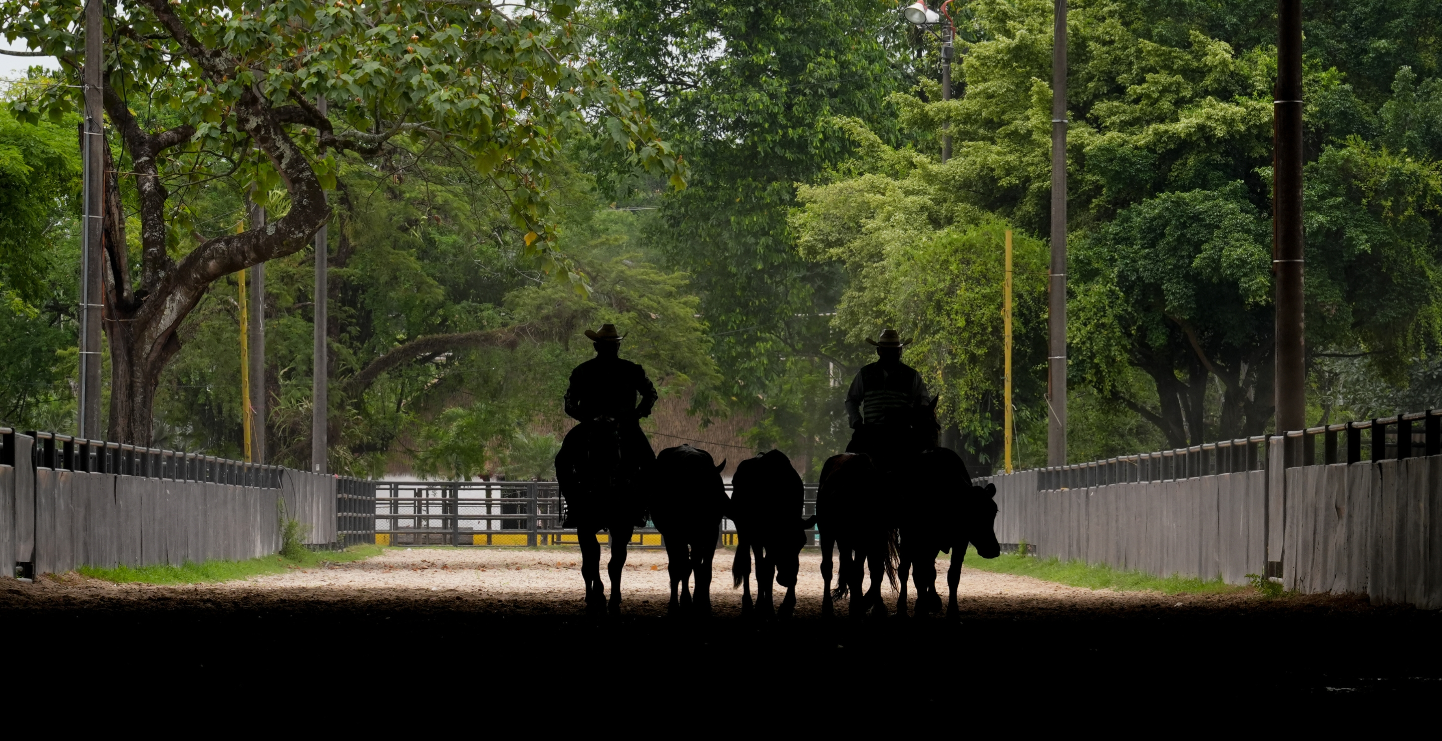 Texas Ranch Owner Invites World Cup Tourists to “Redneck Crash Course”