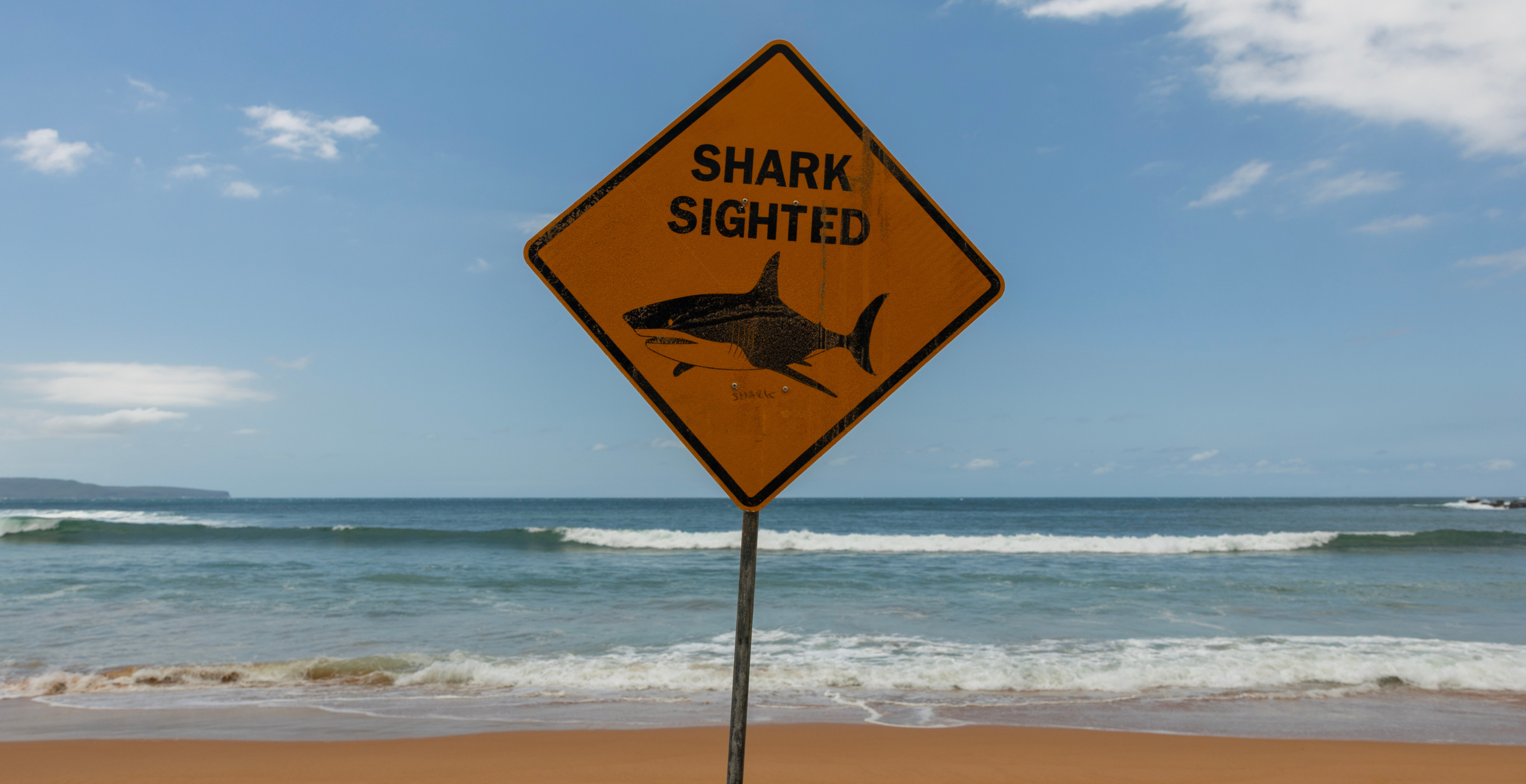 Shark Attack