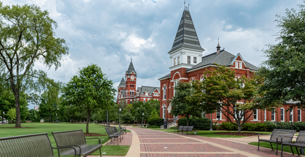 Auburn University Student Missing