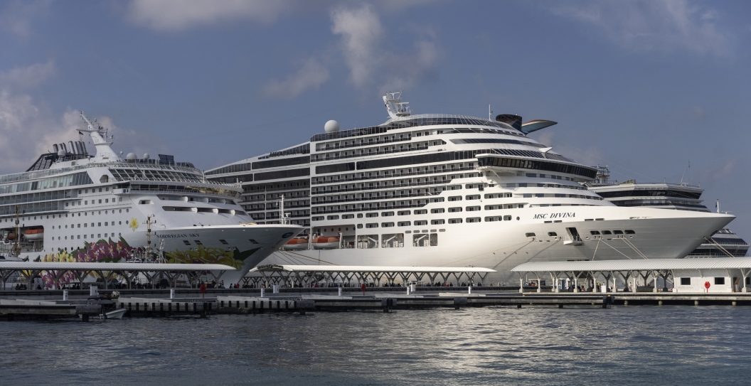 Cruise Ship Passengers Arrested