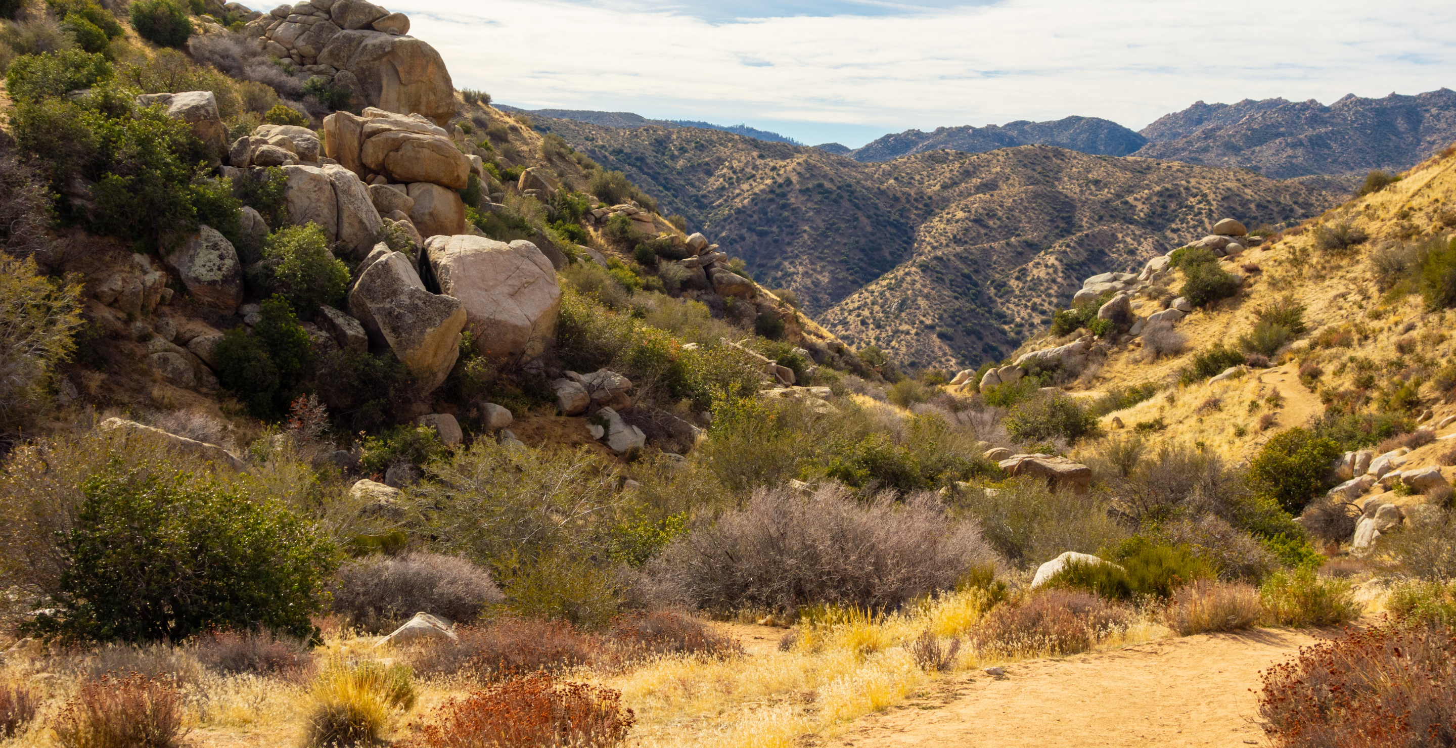 Hiker Dies, San Bernardino National Forest