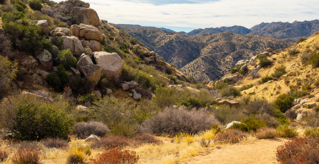 Hiker Dies, San Bernardino National Forest