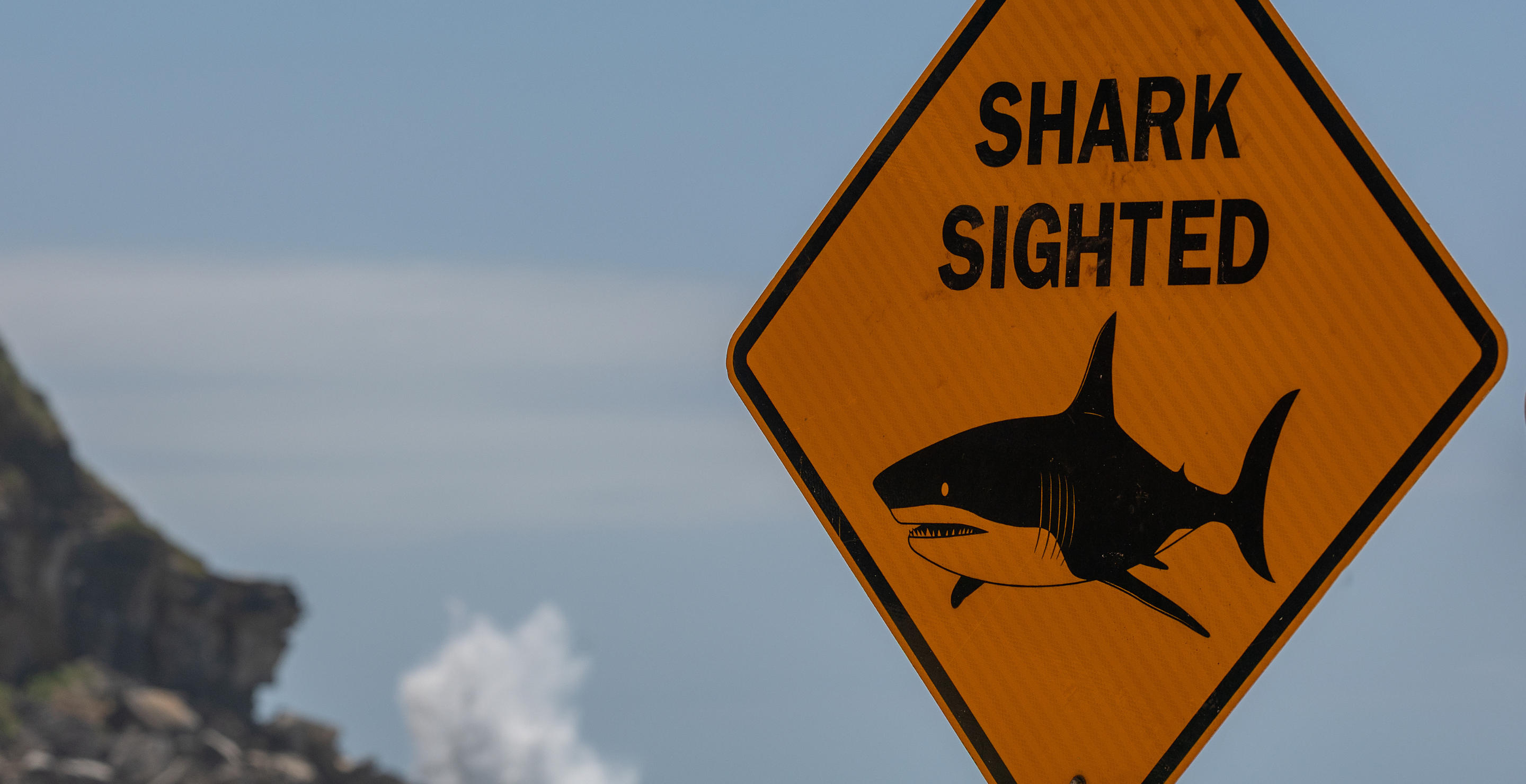 Shark Attack