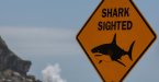 Shark Attack