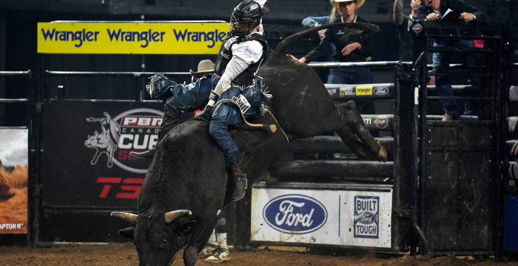 Bull Riding