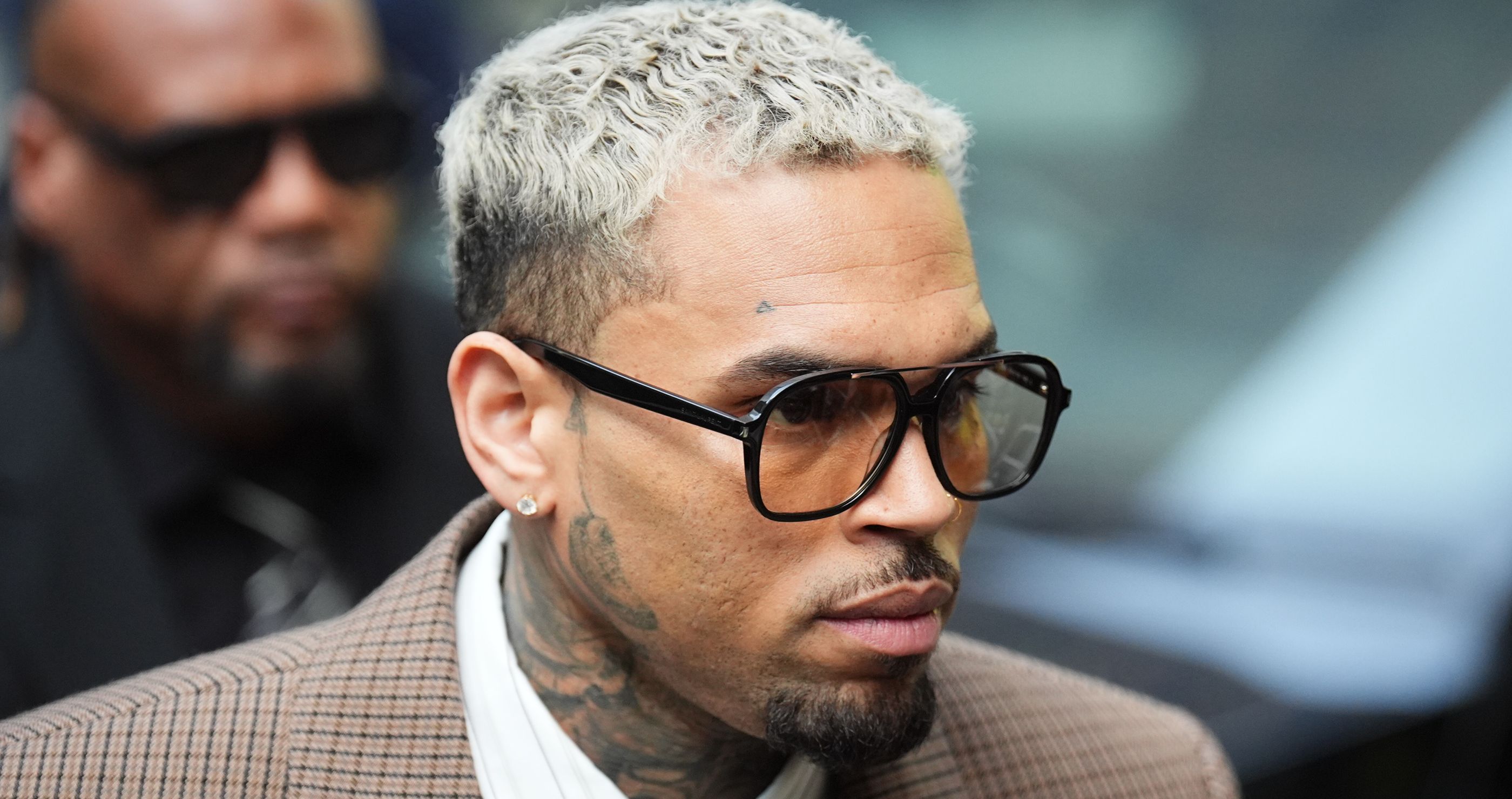 Music Icon Slapped With $13M Verdict in Housekeeper Dog Mauling Trial