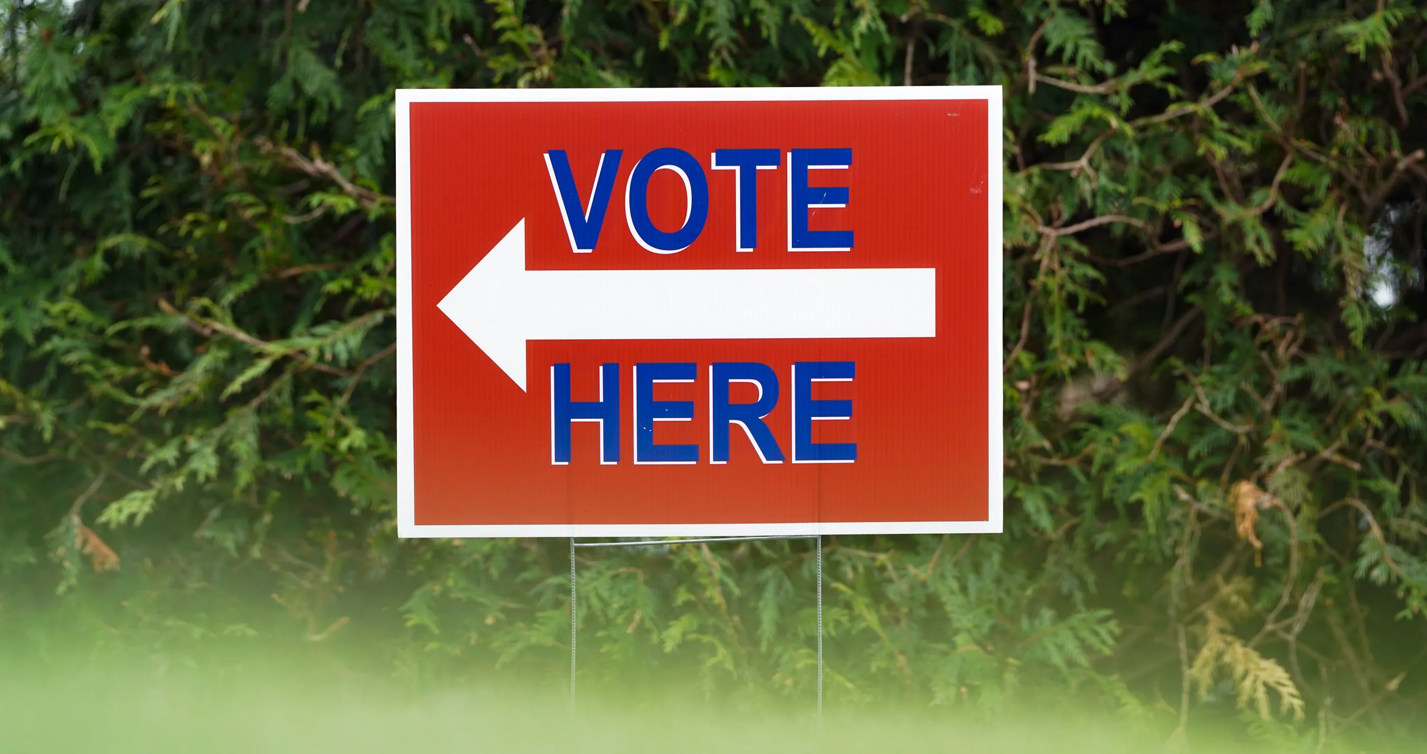 Vote