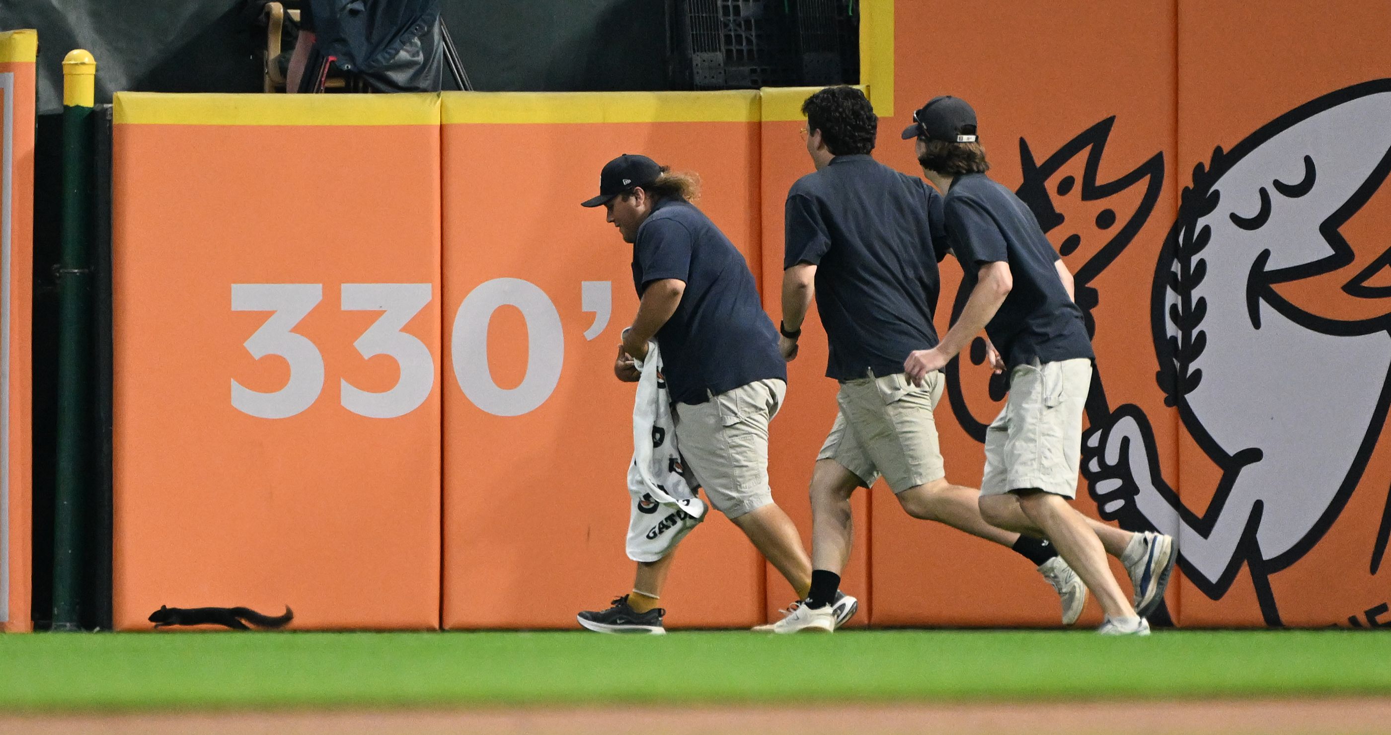Detroit Tigers