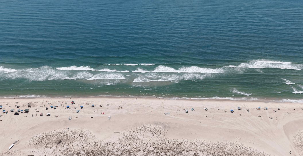 Shark Attack, New York