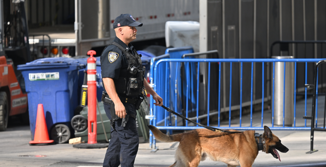 K9 Dogs