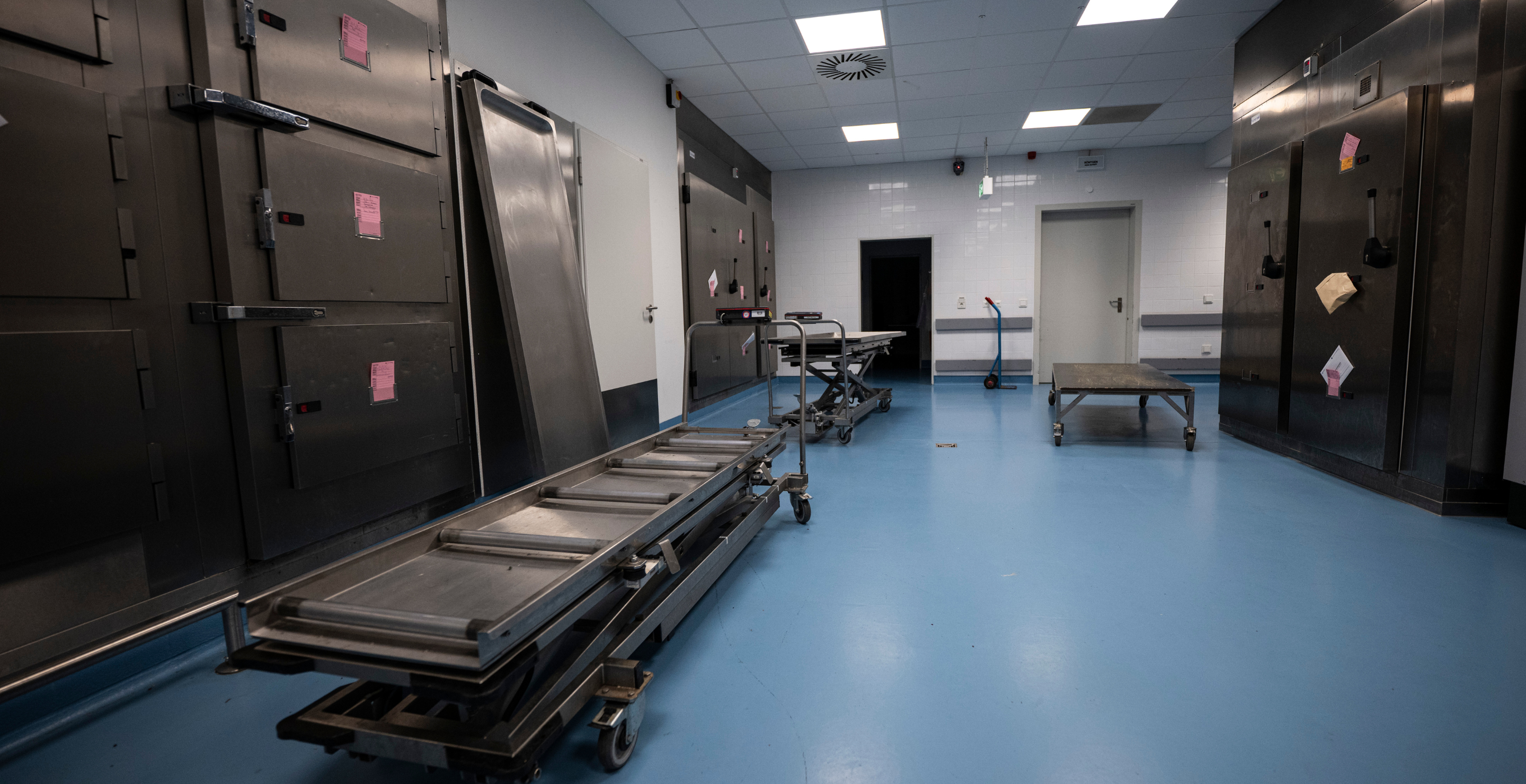 Toddler, Morgue