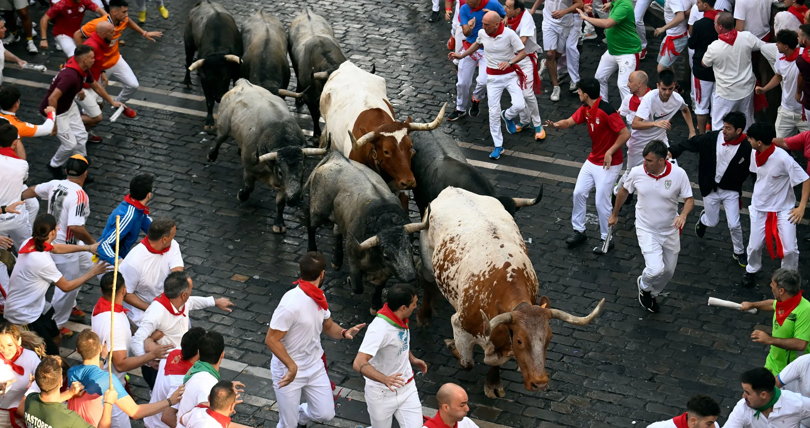 Bulls