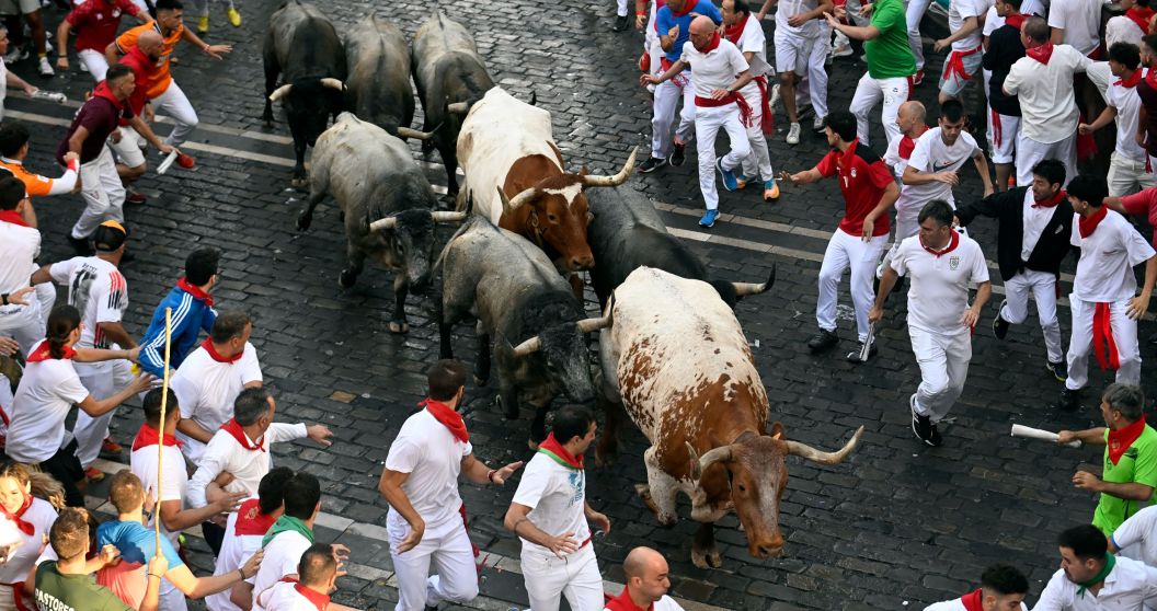 Bulls