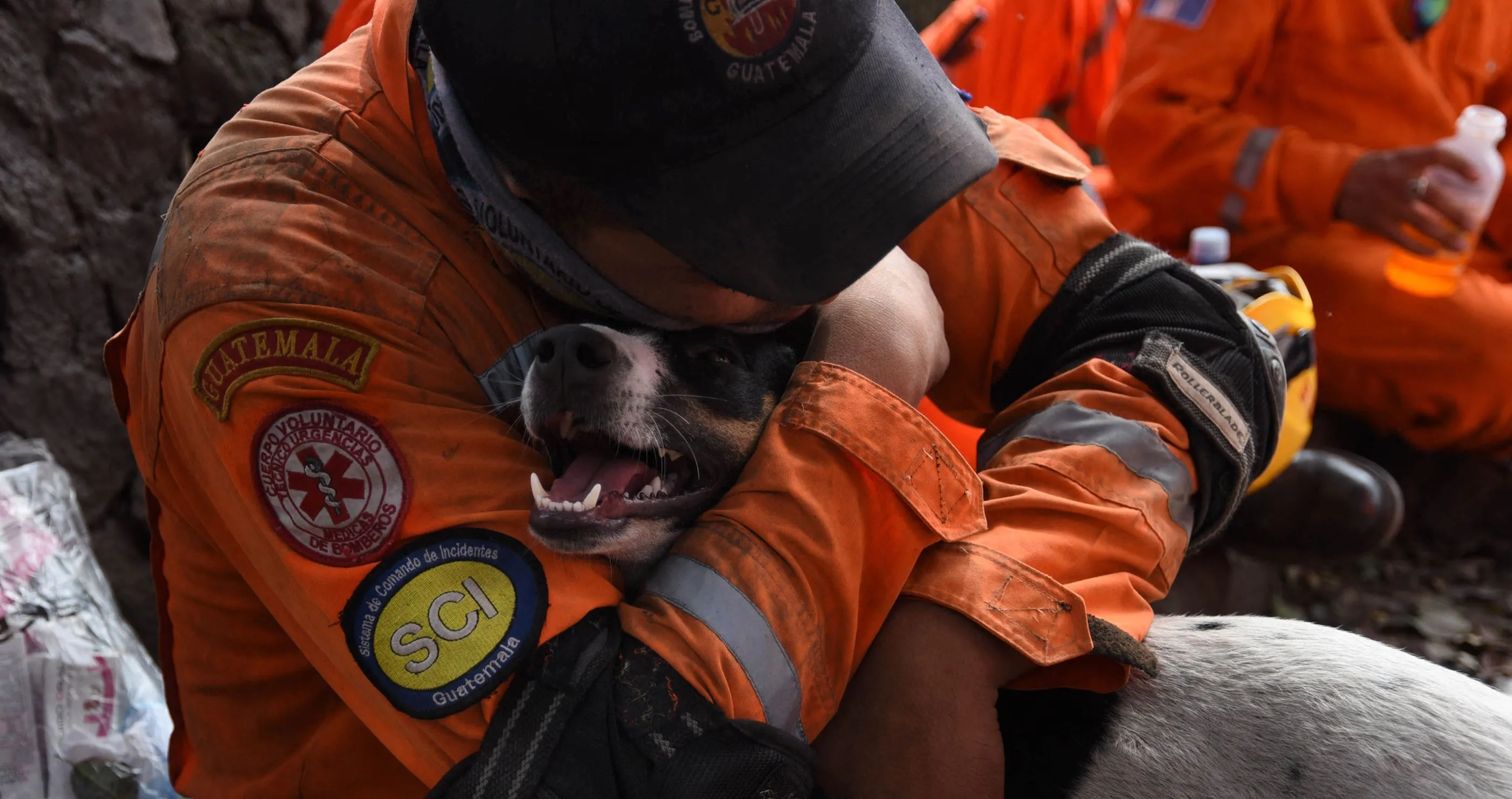 Woman Leaps Into 300-Foot Canyon to Rescue Dog From Drowning