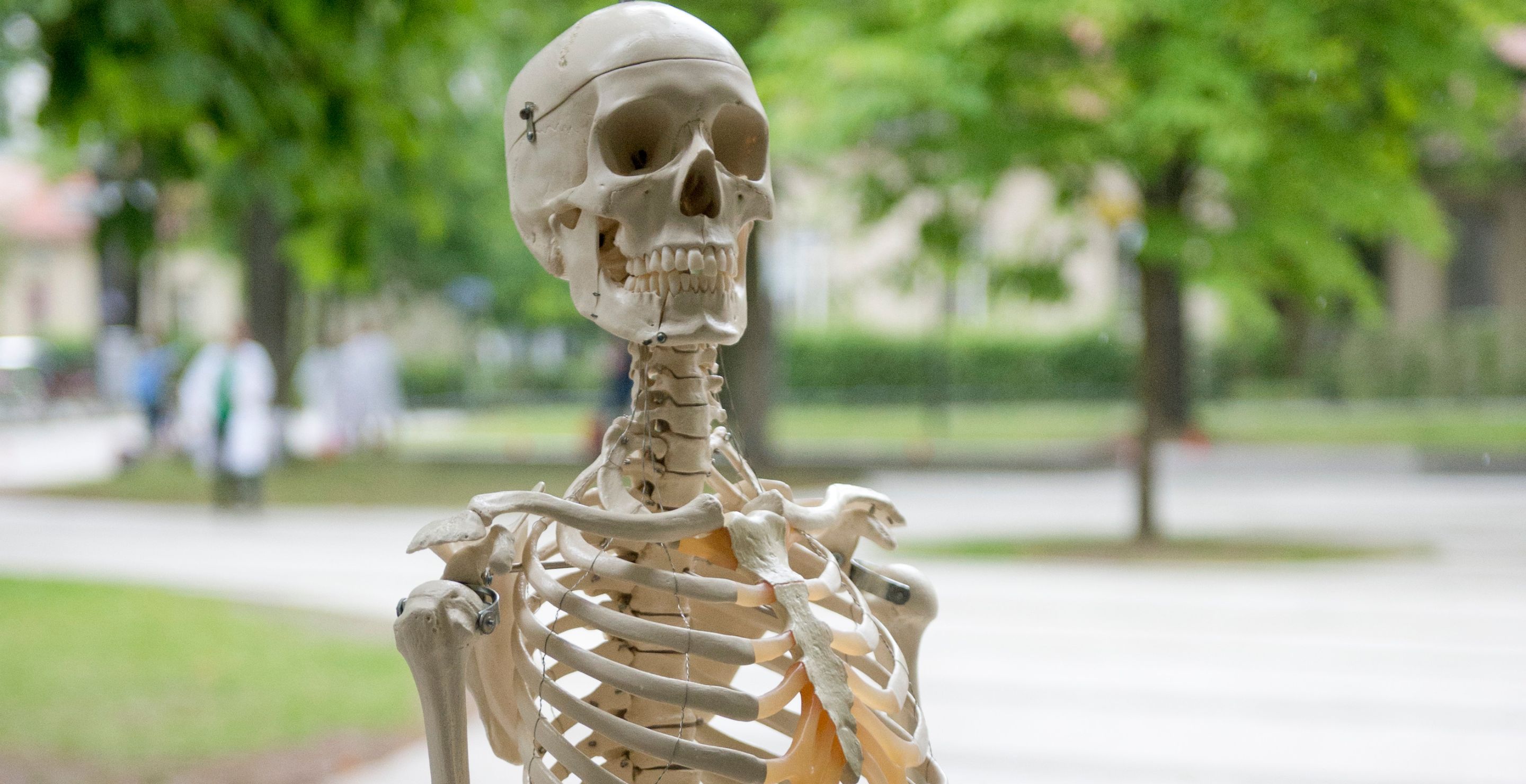 Patient Speaks Out After "Insensitive" Model Skeleton Used in Hospital Procedure