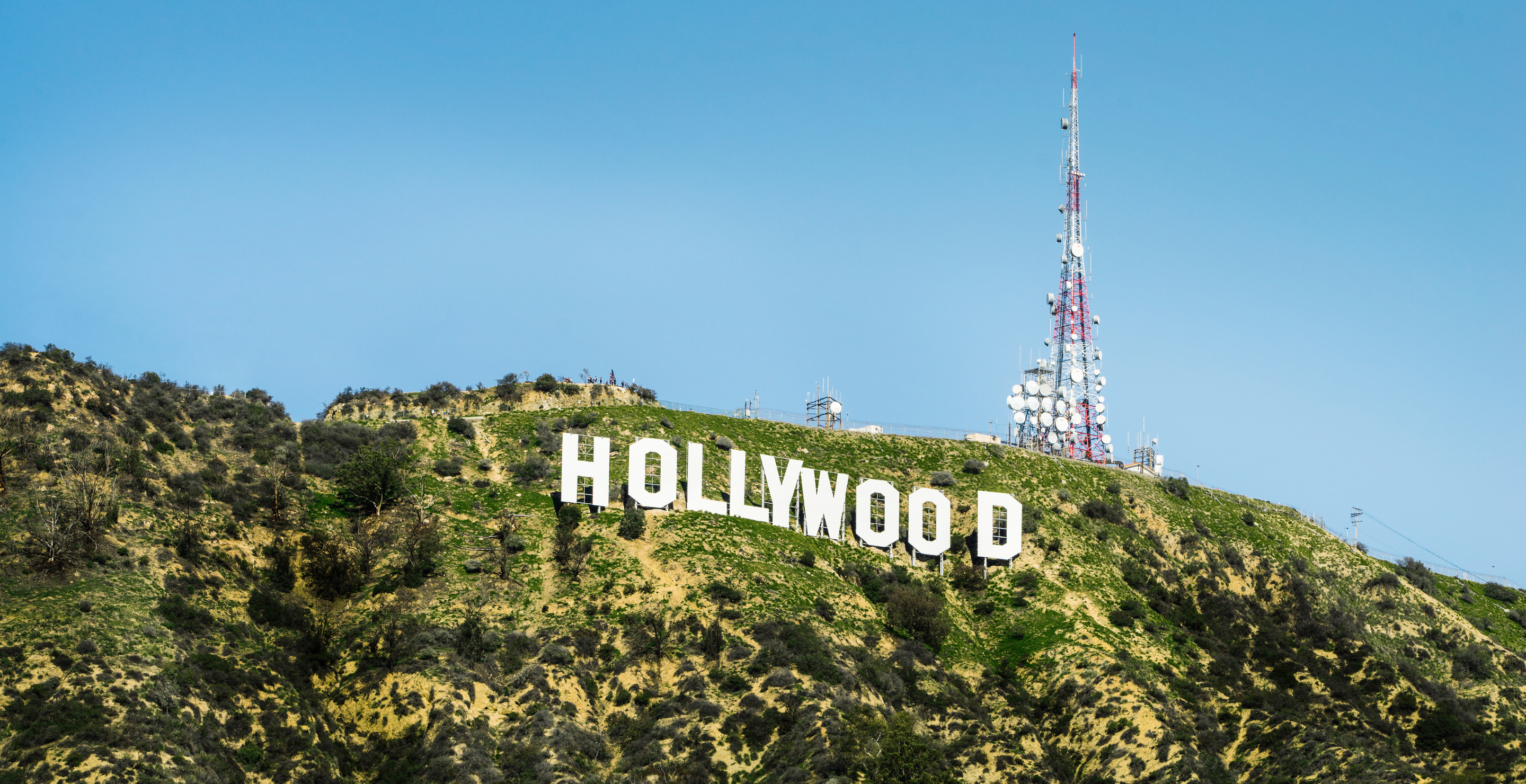 Dominatrix, Hollywood