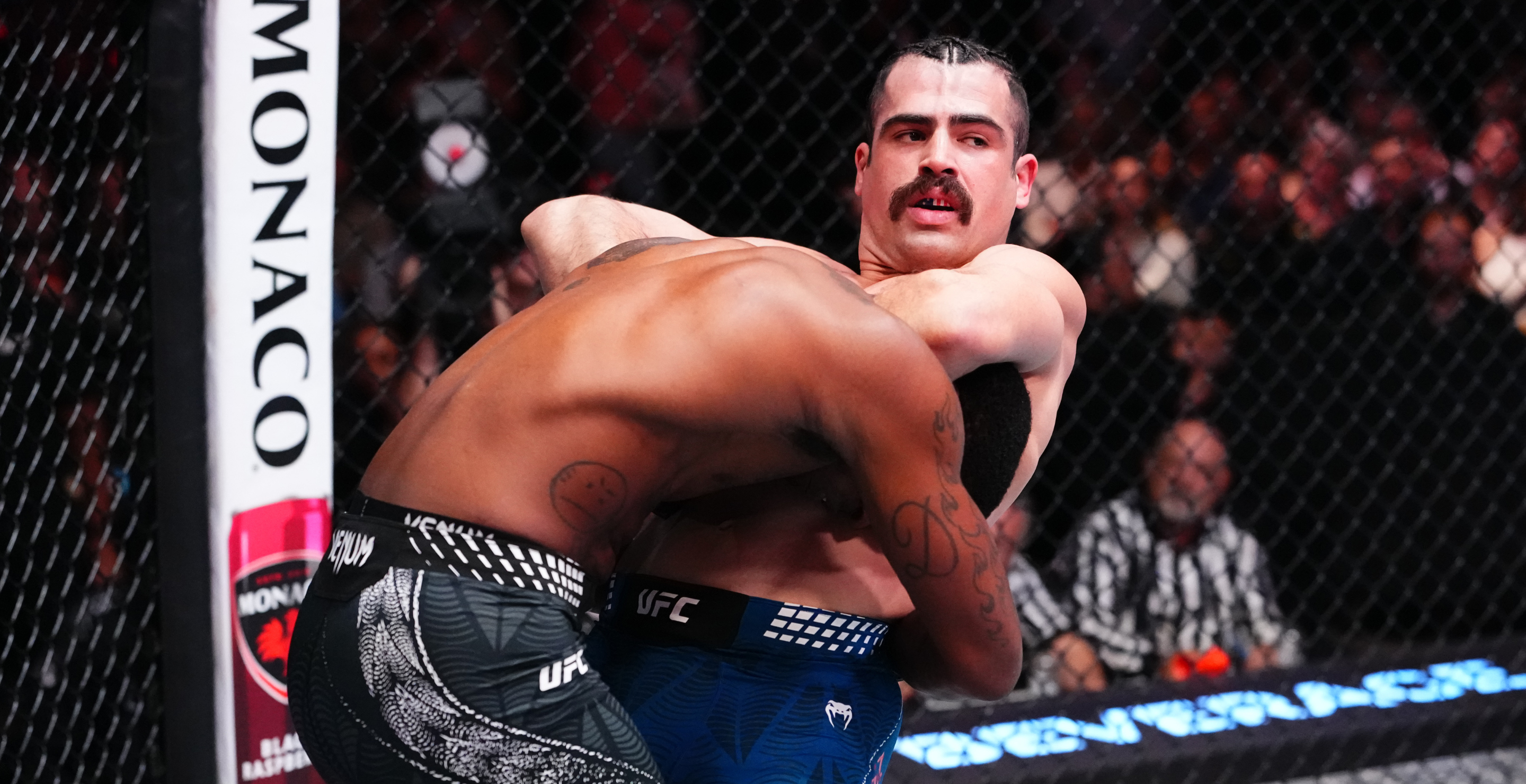 Luis Hernandez, UFC
