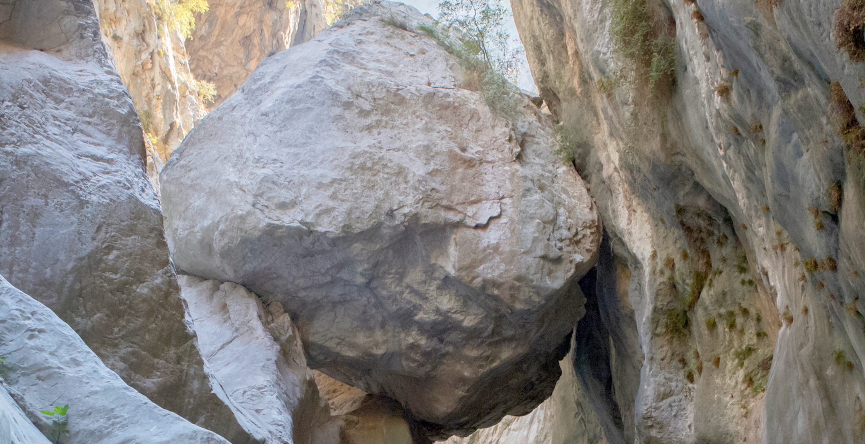 An 80-Ton Boulder Crashed Onto a Tourist Walkway on the Park’s Last Day of the Season
