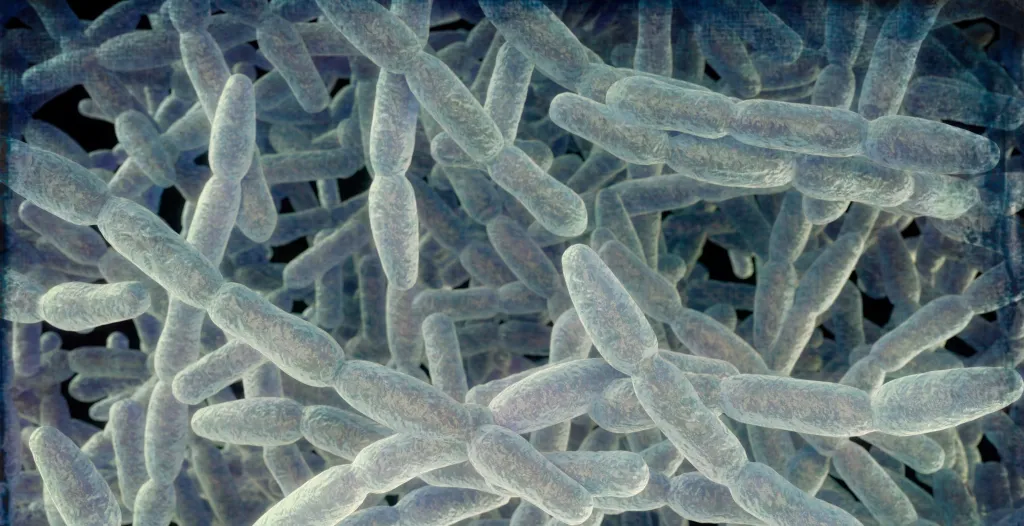 Dangerous Bacteria Found in Medical Examiner’s Office Cooling System as ...