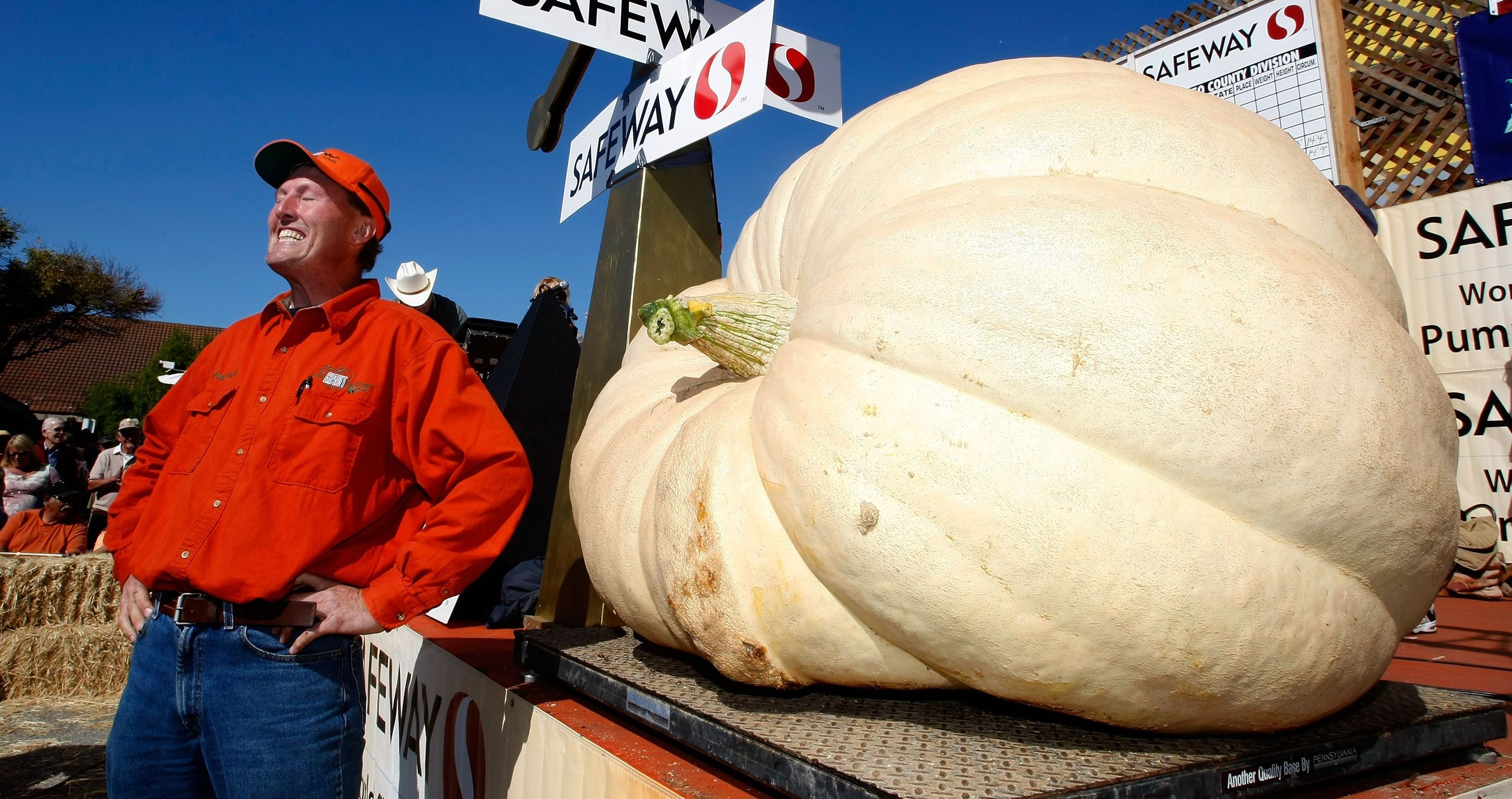 Pumpkin