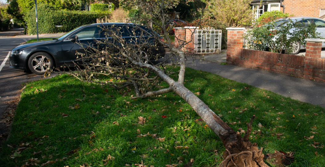 Man Dies in Storm