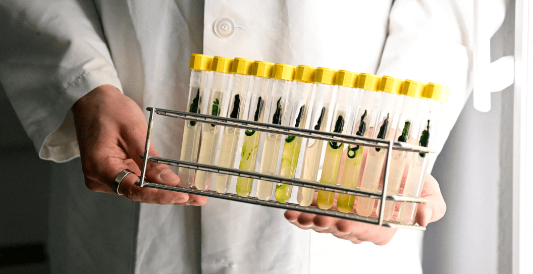 Plague