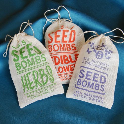 seed-bombs