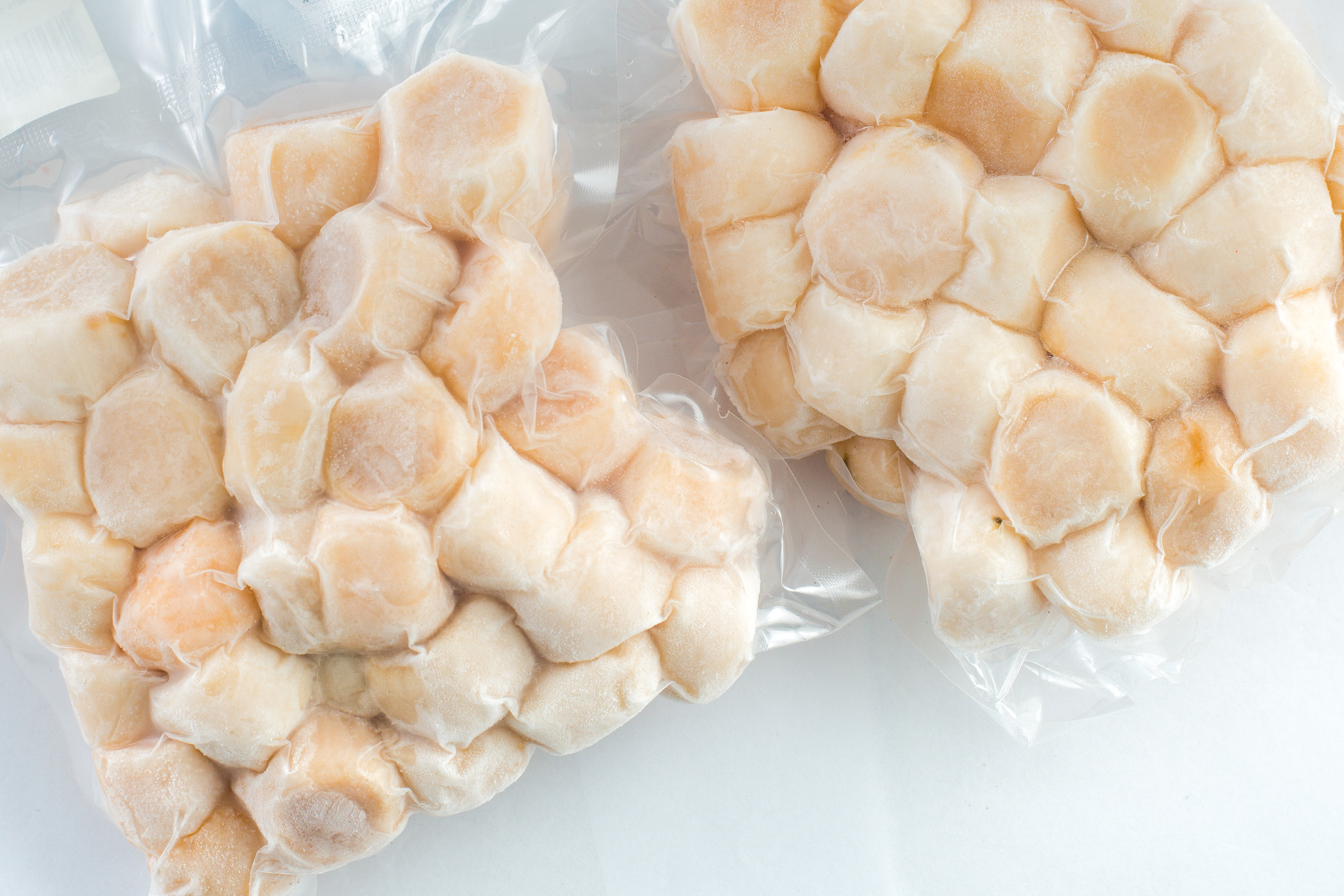 frozen meat of scallop shells in a package