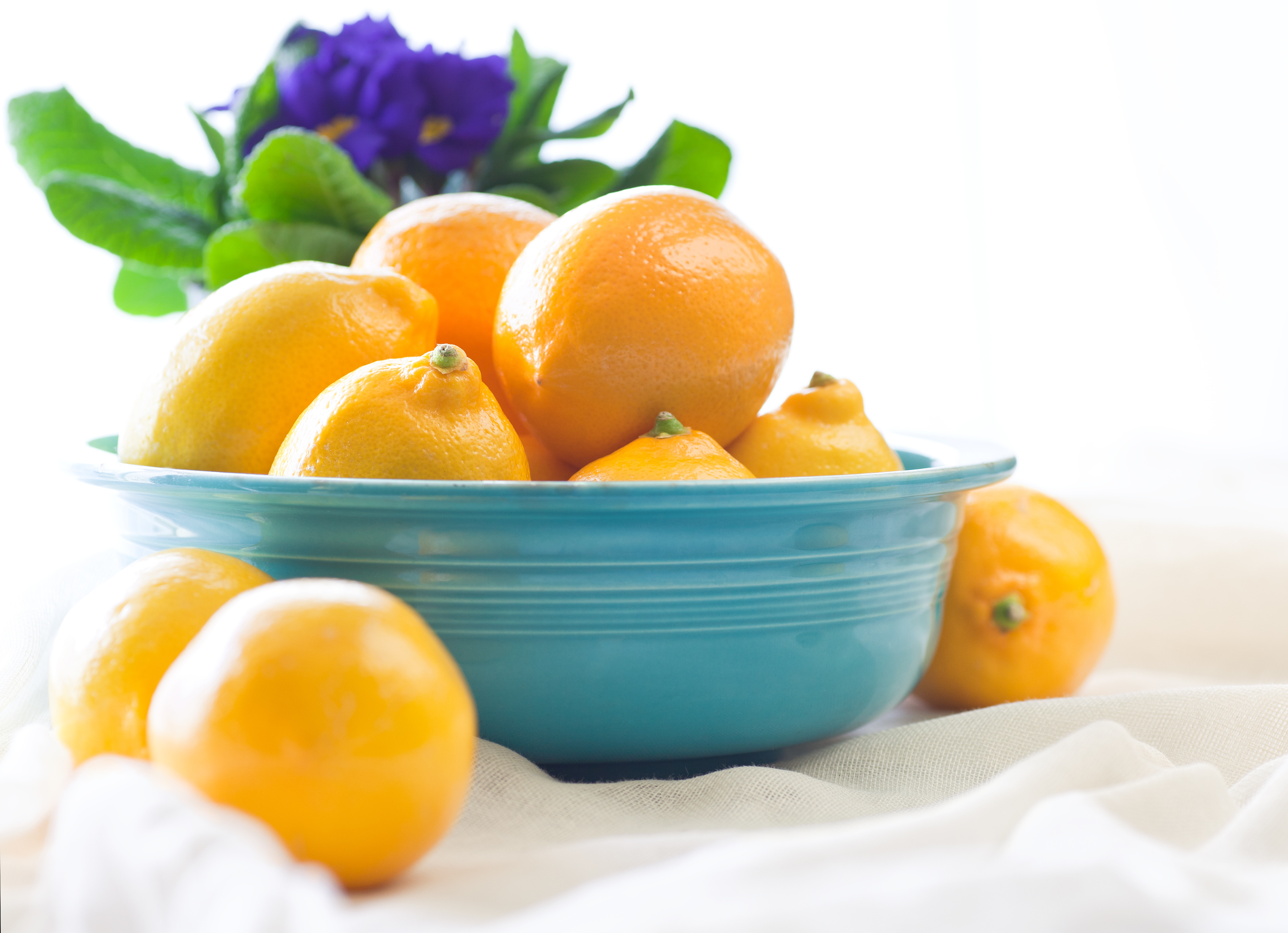 best-winter-citrus-fruits