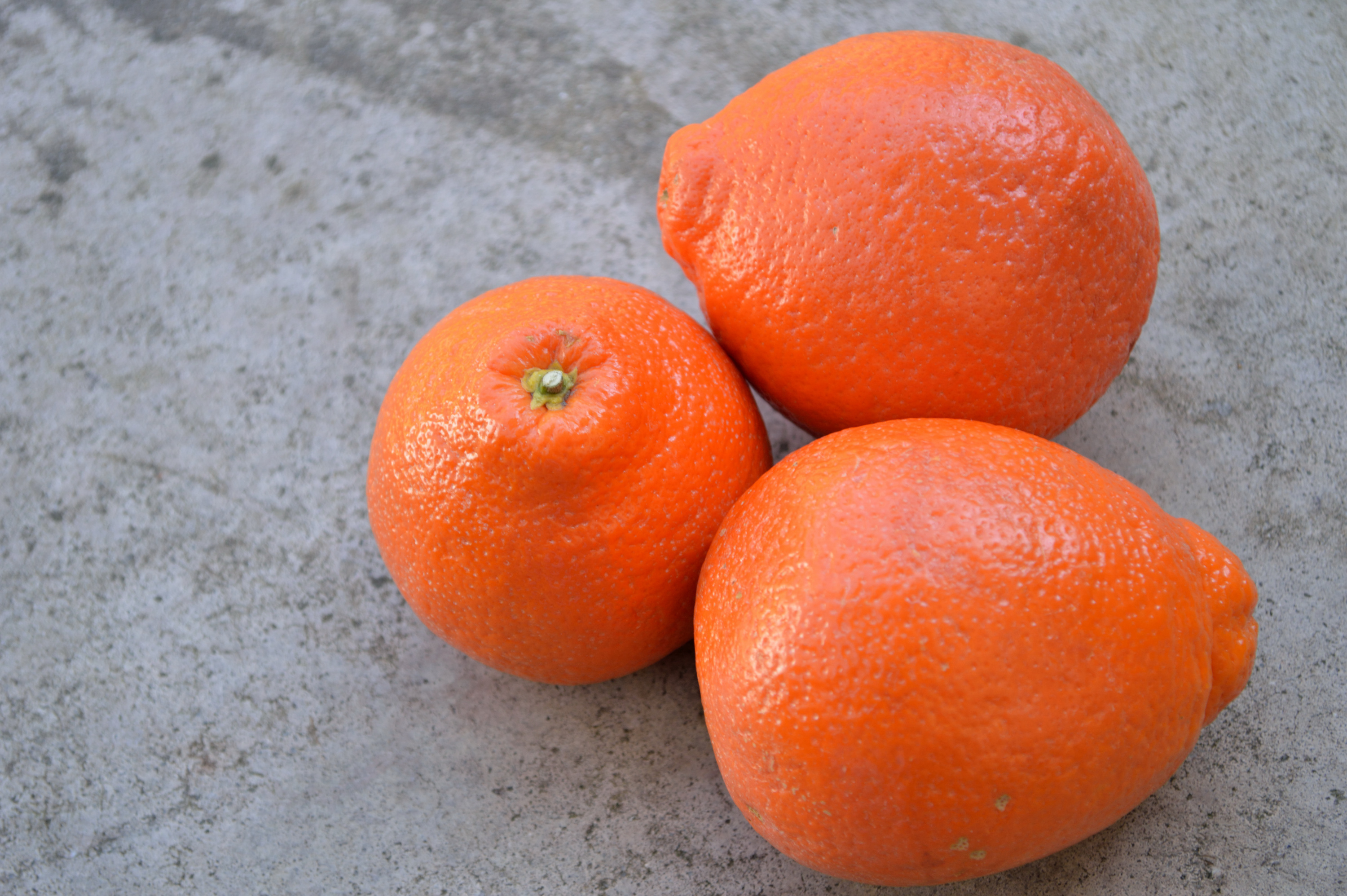 best-winter-citrus-fruits