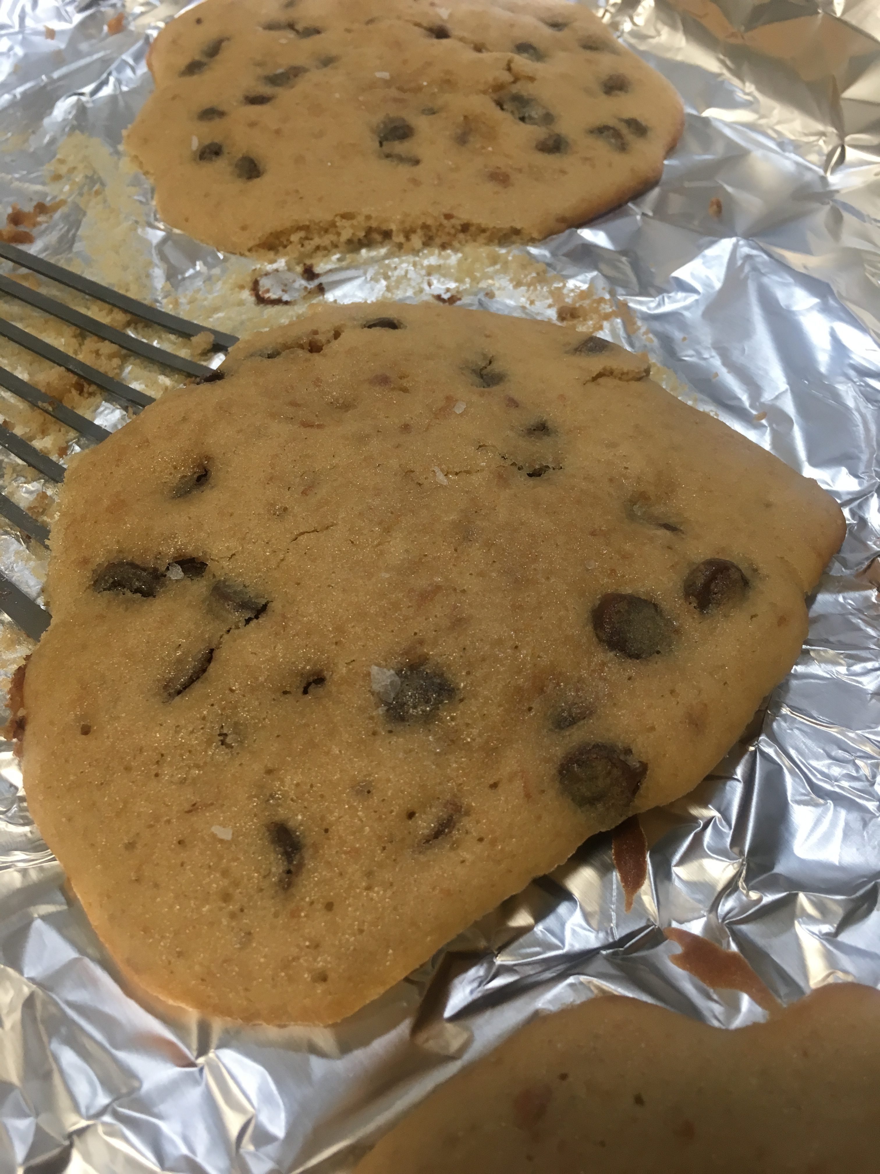 pinto-bean-chocolate-chip-cookies