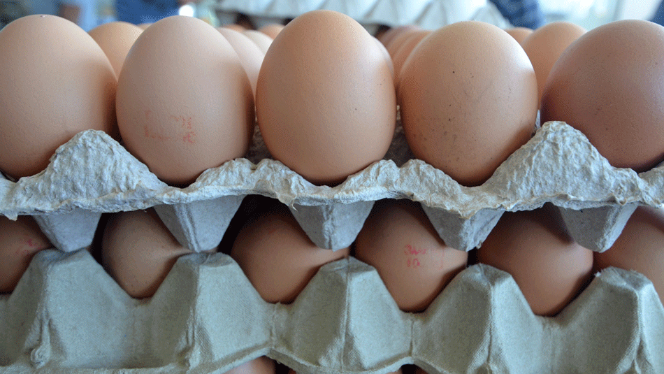 Cracking the Date Code on Egg Cartons