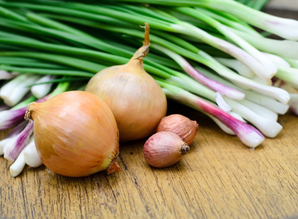 why do onions make you cry