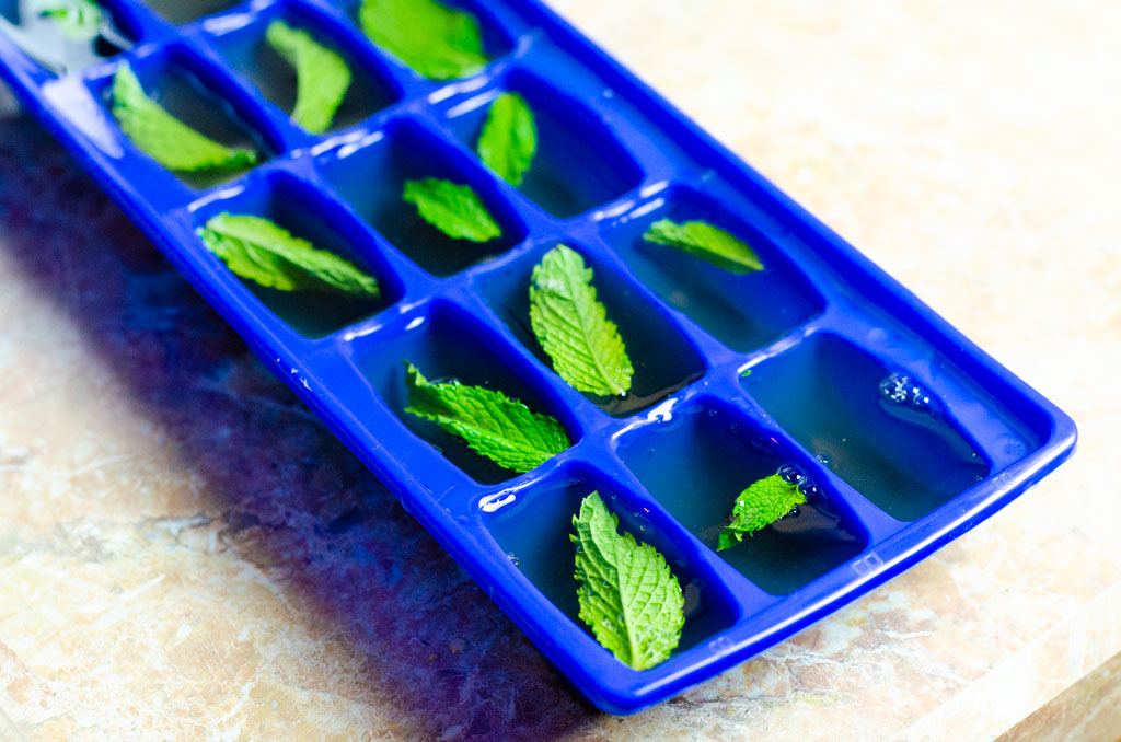 Mint julep ice cube tray