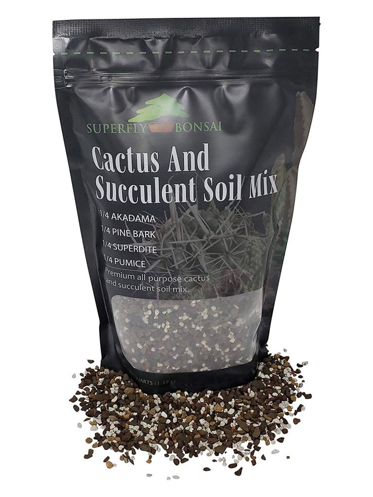Best Succulent Soil