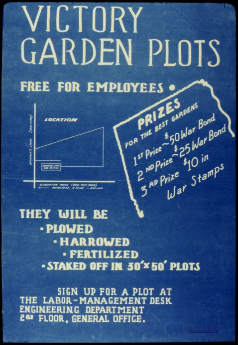 victory garden