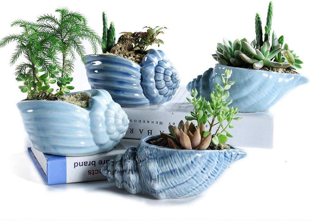 Blue Conch Ocean Series Ceramic Base Serial Set