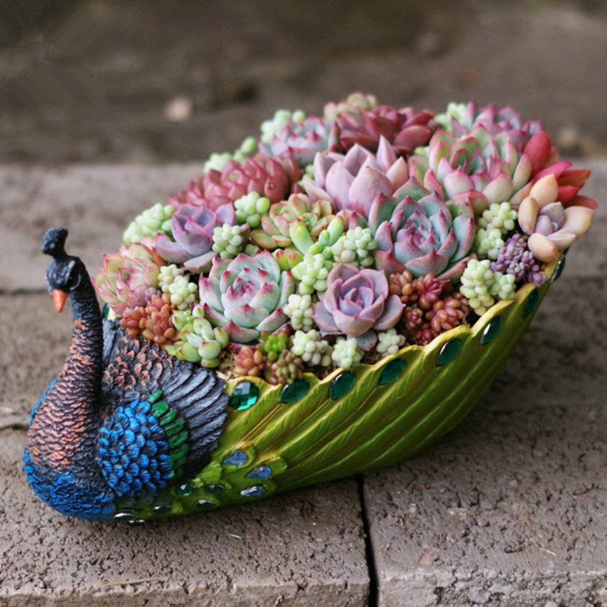 Handmade Peacock Succulent Planter