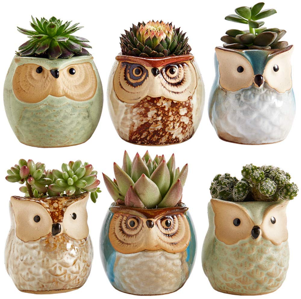 Owl Pot Ceramic Flowing Glaze Base Serial Set Succulent Plant