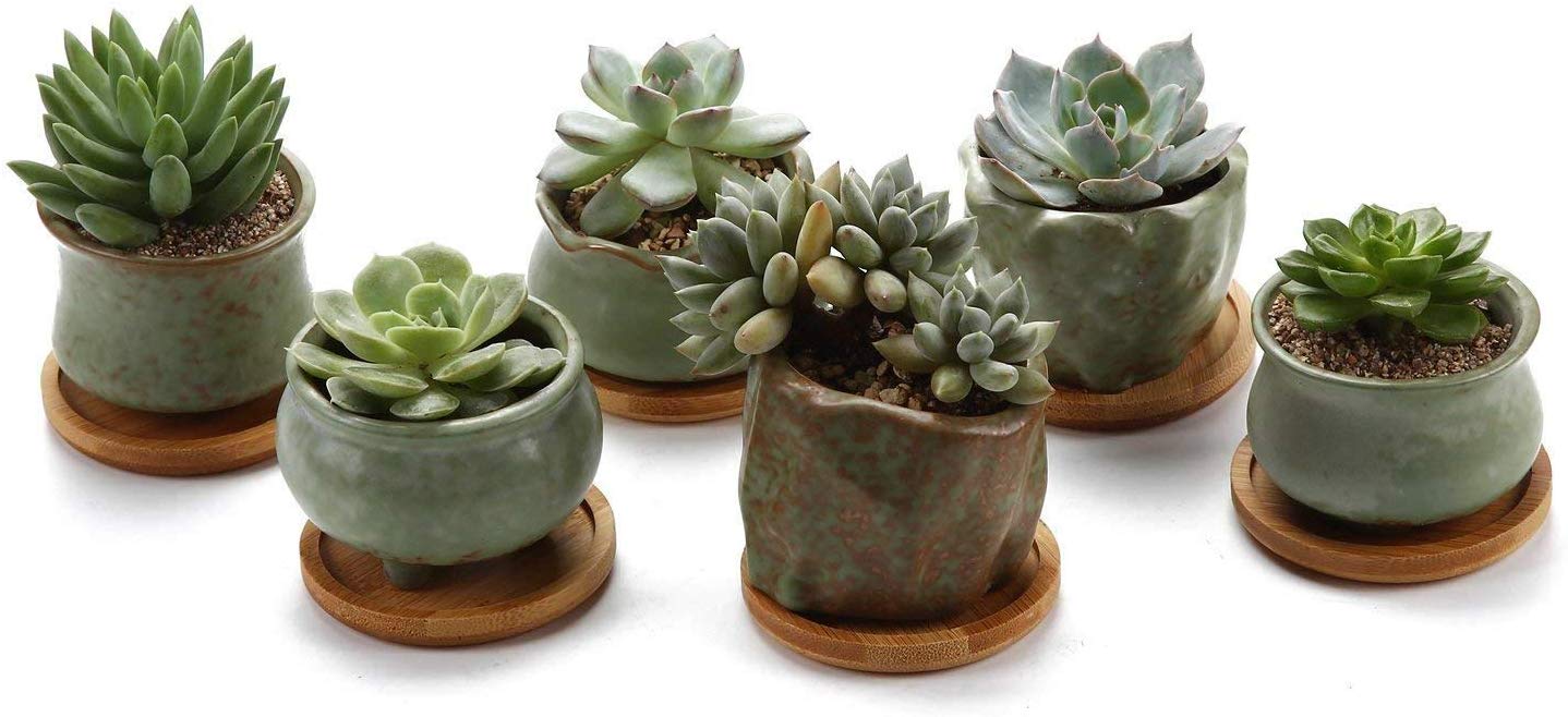 T4U Succulent Planter Pots Ceramic