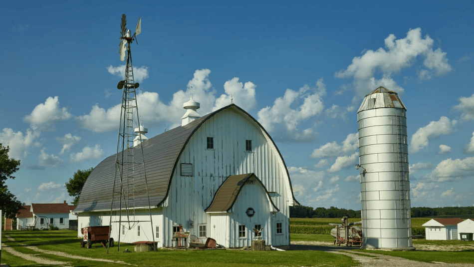 Why The American Family Farm is Important and How To Support Them