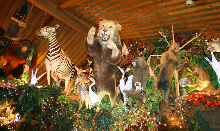 Clark's Fish Camp is a Wild Florida Seafood Restaurant Clark's Fish Camp is a Wild Florida Seafood Restaurant