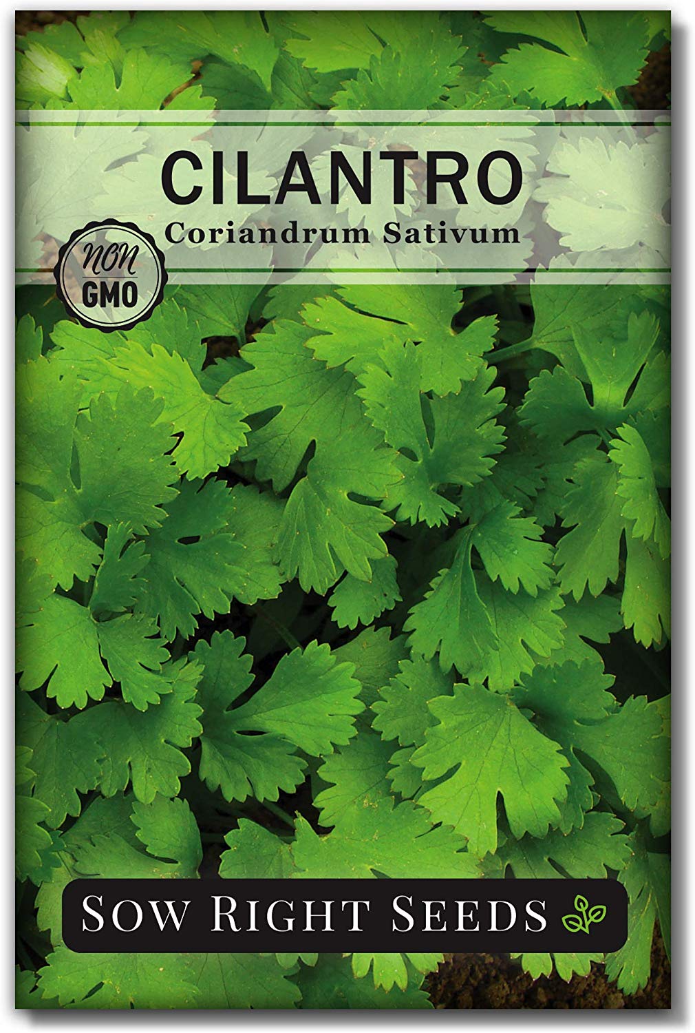 Sow Right Seeds - Cilantro Seed - Non-GMO Heirloom Seeds with Full Instructions for Planting