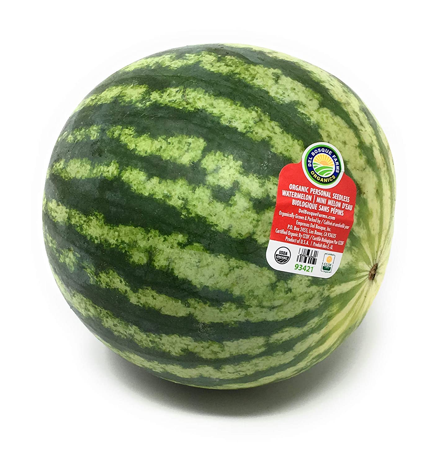 Mini Seedless Watermelon Organic, 1 Each