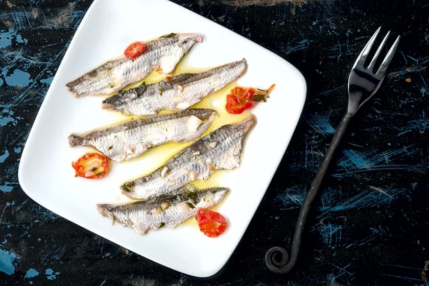 difference between sardines and anchovies