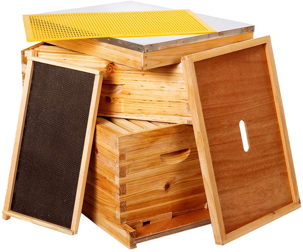 bee hive
