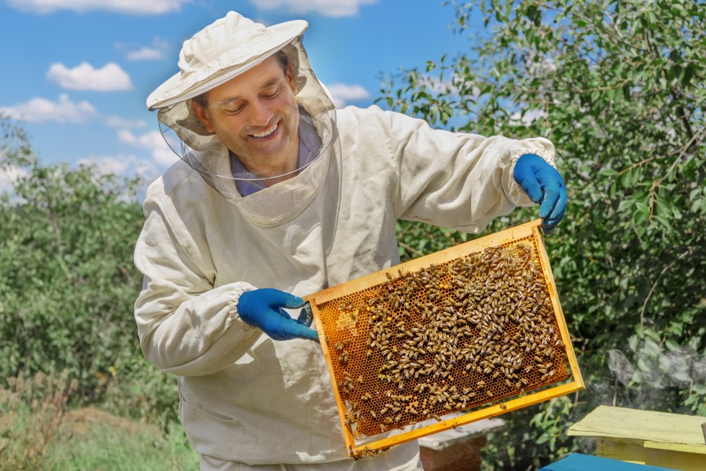 beekeeping for dummies
