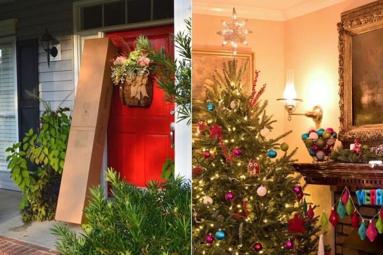 Home Depot Fresh Christmas Trees Delivery Options and Care Tips